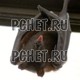 Млекопитающие
