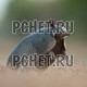 Южная Америка